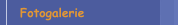 Fotogalerie